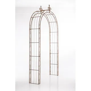 CLP Rosenbogen Sun 1 St. 1er 1,00 x 2,20 x 0,50 cm Braun