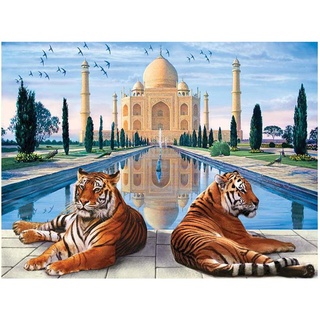 DIY 5D Diamond Painting Eckige Steine Landschaft 50x40 cm Diamond Painting Taj Mahal Tiger Taj Mahal Malen nach Zahlen Erwachsene kristall Bilder DIY Diamant Gemälde Aufkleber Kit Kreuzstich Dekor