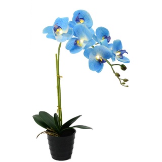 FLCSIed 50 cm LED-Orchideen-Blumentopf, beleuchteter Bonsai-Blumentopf, 7 warme LEDs mit 2 AA-Batterie-Topf, 7 Stück echte Blumen mit Knospen