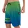 Degradee Badeshorts Riverdale 36