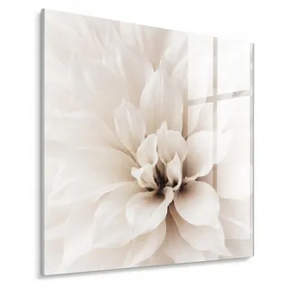STYLER Glasbild 30x30 cm Elegant Dahlia Dahlienmotiv Blumen Wanddekoration Wohnzimmer Schlafzimmer Küche