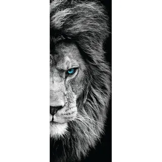 artissimo Glasbild, Schwarz, Weiß, Glas, Tiere, Rechteckig, 30x80 cm, Bilder und Zubehör, Wandbilder, Glasbilder