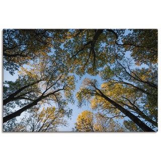 Wandbild ARTLAND "Herbst im Wald" Bilder Gr. B/H: 80 cm x 120 cm, Leinwandbild Bäume Hochformat, 1 St., blau Kunstdrucke