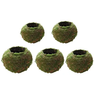 misppro Set mit 5 Mini-Gartentöpfen aus Moosbällchen, Bonsai-Dekoration, Gartenarbeit, gewebt, 6 cm - 18 cm Durchmesser