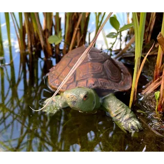 LB H&F Lilienburg Teichfigur Schildkröte Teichfigur Teichdeko Schwimmfigur Schwimmtier Miniteich, (Schwimmtier Miniteich Teich Fischteich Zinkwanne Gartenteich Dekoration Figur Teichfigur Gartendekoration Tier Aquarium teichbecken deko brunnen, zierteich dekofigur gartenfigur schwimmend Schwimmfigur gartendeko), schwimmt, wetterfest, detailgetreu grün
