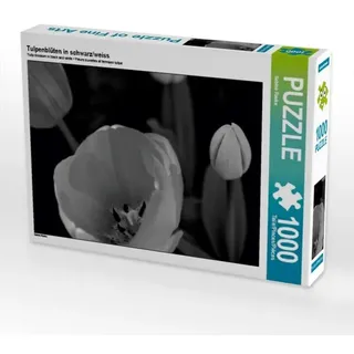 Tulpenblüten in schwarz/weiss (Puzzle)