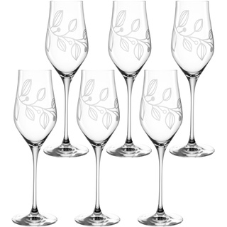 LEONARDO Boccio Champagnerglas Set 6-teilig - Sektglas für Champagner aus Kristallglas - Mit floraler Gravur - Inhalt 340 ml - Spülmaschinengeeignet - 6er Set Champagner Gläser mit schmaler Öffnung