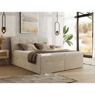 MKS Dagos 200 x 200 cm H4 Beige