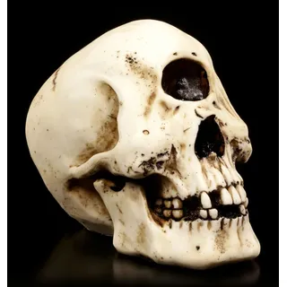 Figuren Shop GmbH Totenkopf Figur - Einäugiger Zyklop - Schädel Deko Skull