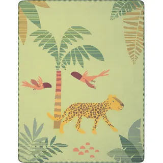 Biederlack Babydecke Wildlife