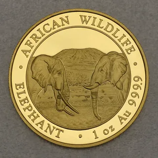 Goldmünze 1oz Elefant 2020 African Wildlife (Somalia)