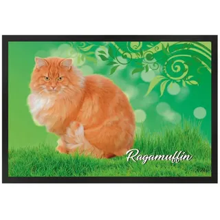 Ladreas Fußmatte Schmutzfangmatte Katze Rassekatze RagaMuffin F1240, 75x50 grün 75x50 | 50 cm x 75 cm