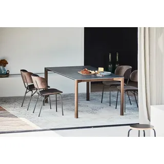Tisch Radius