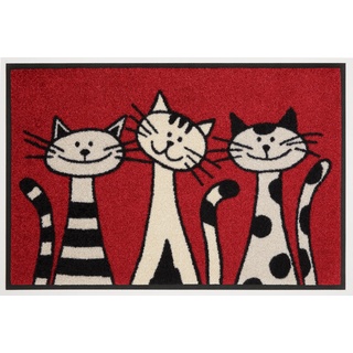Fußmatte WASH+DRY BY KLEEN-TEX "Three Cats" Teppiche Gr. B/L: 40 cm x 60 cm, 9 mm, 1 St., rot (rot, beige) Designer Fußmatten Schmutzfangmatte, Motiv Katzen, rutschhemmend, waschbar