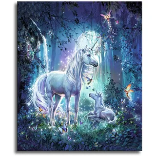 Shukqueen Malen nach Zahlen, DIY Ölgemälde für Erwachsene, Anfänger, Feiertagsgeschenke, Einhorn, 16x20 Zoll (Ohne Rahmen)