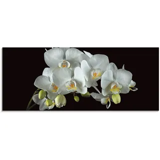 Glasbild ARTLAND "Weiße Orchidee auf schwarzem Hintergrund" Bilder Gr. B/H: 125 cm x 50 cm, Blumen, 1 St., weiß Glasbilder in verschiedenen Größen