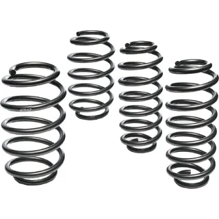 Eibach E10-79-010-02-22 Fahrwerksatz