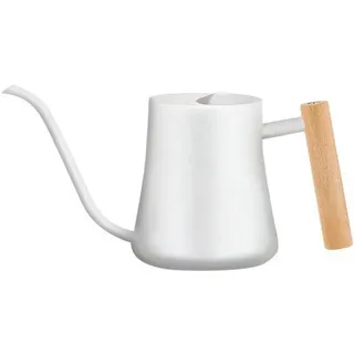 Famanu Gießkanne aus Edelstahl, 1L, mit langem Auslauf und Holzgriff - ideal für Pflanzenpflege