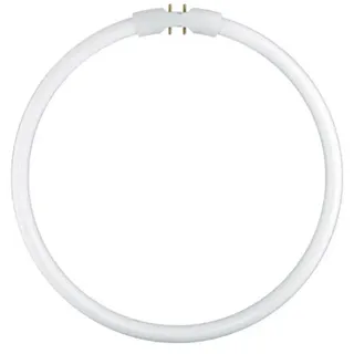 Osram Lumilux T5 FC 22W/840 2GX13