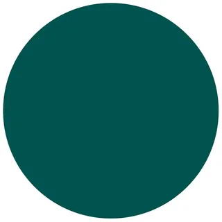 Bilderdepot24 Teppich Vinyl Wohnzimmer Schlafzimmer Flur Küche Einfarbig modern, rund - grün glatt, nass wischbar (Küche, Tierhaare) - Saugroboter & Bodenheizung geeignet grün 240 cm x 240 cm