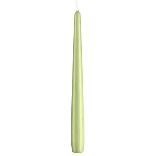 Spitzkerzen 24 x 2,3 cm 12 St. grün