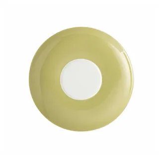 Thomas Untertasse 16,5 cm Grün
