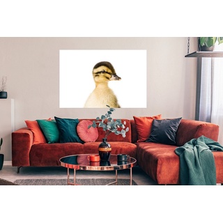 MuchoWow Poster Ente - Gelb - Tiere - Natur, (1 St), Bild für Wohnzimmer, Schlafzimmer, Wandposter, Ohne Rahmen, Wanddeko bunt 120 cm x 80 cm