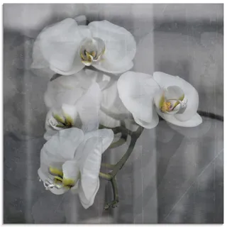 Glasbild ARTLAND "Weisse Orchideen - white Orchid" Bilder Gr. B/H: 50 cm x 50 cm, Glasbild Blumen quadratisch, 1 St., schwarz Glasbilder