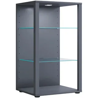 VCM Standvitrine Glasol 52 x 44 x 90 cm Grau