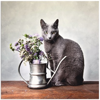 Wandbild »Katze mit Deko«, Haustiere, (1 St.), als Alubild, Outdoorbild, Leinwandbild in verschied. Größen, 44732720-0 schwarz B/H: 50 cm x 50 cm