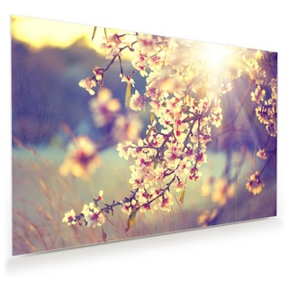 Primedeco Glasbild Wandbild Blühender Baum beleuchtet mit Aufhängung, Natur 90 cm x 60 cm