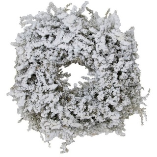 NaDeco Bastelnaturmaterial Asparagus Kranz Weiß beflockt (Snow), im Durchmesser mit 35 cm