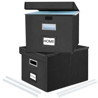 FINEW Stoff Faltbare Aufbewahrungsbox mit Deckel,Hängemappen Hängeregister