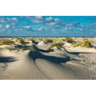 Papermoon Fototapete PAPERMOON "DÜNEN-NATUR NORD SEE SAND STRAND MEER WÜSTE LANDSCHAFT", bunt, B:3,5m L:2,6m, Vlies, Tapeten