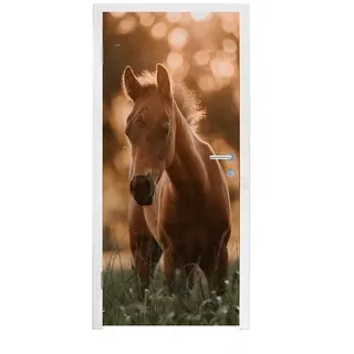 MuchoWow Türtapete Pferd - Licht - Landschaft, Matt, bedruckt, (1 St), Türposter Selbstklebend, Deko Folie Tür und Möbel, 95x215 cm bunt 95 m x 215 m