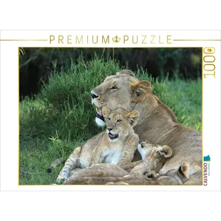 Calvendo Verlag GmbH CALVENDO Puzzle Löwen – Mutterglück 1000 Teile Lege-Größe 64 x 48 cm Foto-Puzzle Bild von Michael Herzog
