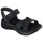 Black 36