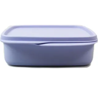 TUPPERWARE To Go Lunchbox Clevere Pause 550 ml pastell hellblau mit Trennwand - Violett