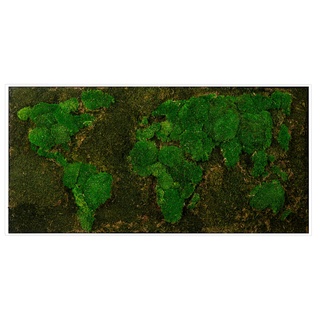 Bild mit Rahmen »Moos«, Weltkarte, (1 St.), 62119519-0 grün B/H/T: 120 cm x 60 cm x 5,5 cm