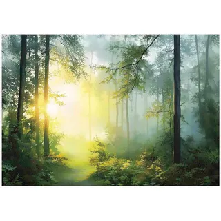 WallArena Fototapete Wald in Grün - Gr.: 250 x 175 cm