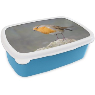 MuchoWow Lunchbox Vogel - Rotkehlchen - Felsen, Kunststoff, (2-tlg), Brotdose für kindergarten, Vesperbox, Snackbox, Brotbox, Jungen blau
