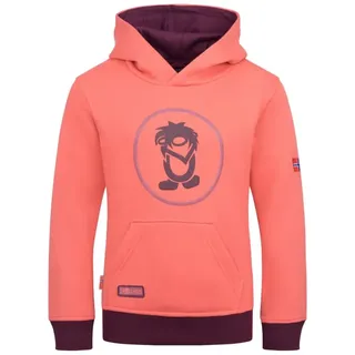 TROLLKIDS Hoodie Pink 176