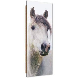 Feeby Wandbild XXL Pferd Deko Kunst Bilder Tier Weiß 50x150 cm