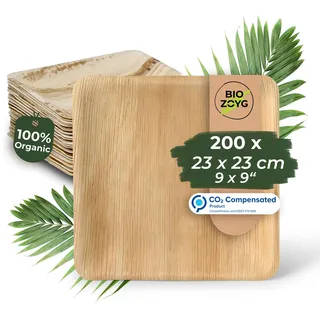 BIOZOYG Einwegteller 200 Stück 23x23 cm Palmblatt-Teller - Einweggeschirr kompostierbar - hochwertige Alternative für Bambus Teller und Pappteller - Partygeschirr