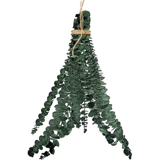 Moxeupon Dusch-Eukalyptus Zum Aufhängen, Dusch Eukalyptus Zum Aufhängen Echte Getrocknete Eukalyptus Zweige Dusch Eukalyptus Hängend 1Bund (10Zweige), Eukalyptus Zum Duschen