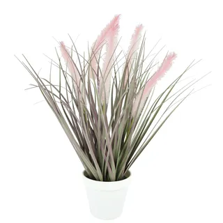 Kunstpflanze I.GE.A. "Pampasgras im Topf, rosa, 44 cm hoch", rosa (burgund), B:20cm H:44cm L:18cm, Kunststoff, Kunstpflanzen, Kunstpflanze, Dekogras Dekorativer Grasbusch Fuchsschwanzgras