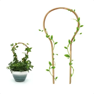 COLOtime Bambus-Spalier, 40,6 cm, rund, kleine Pflanzen-Rankgitter für Topfpflanzen, Kletterpflanzen, Monstera, Orchidee, Rebe, Hoya, Zimmerpflanze, 3 Stück