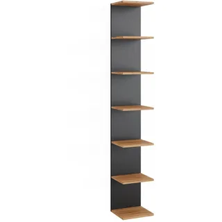 Vicco Wandregal Paolo 30 x 190 cm Anthrazit