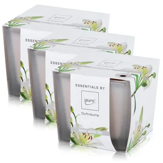 Essentials by Ipuro Duftkerze white lily 125g - Der reine Duft der weißen Blüte – ein blumig zartes Dufterlebnis (3er Pack)