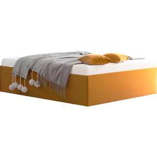 Westfalia Schlafkomfort Polsterbett Amrum, in Samtvelours ohne Kopfteil, mit und ohne Bettkasten erhältlich gelb 165 cm x 205 cm